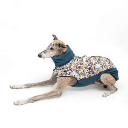 Impermeable shoftshell