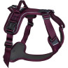 Arnes dogwear non stop ramble