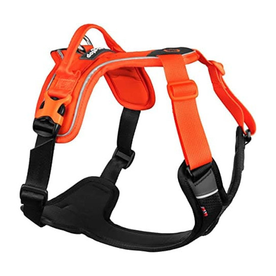 Arnes dogwear non stop ramble