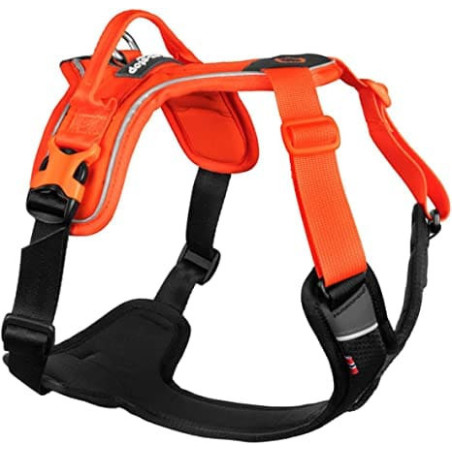 Arnes dogwear non stop ramble