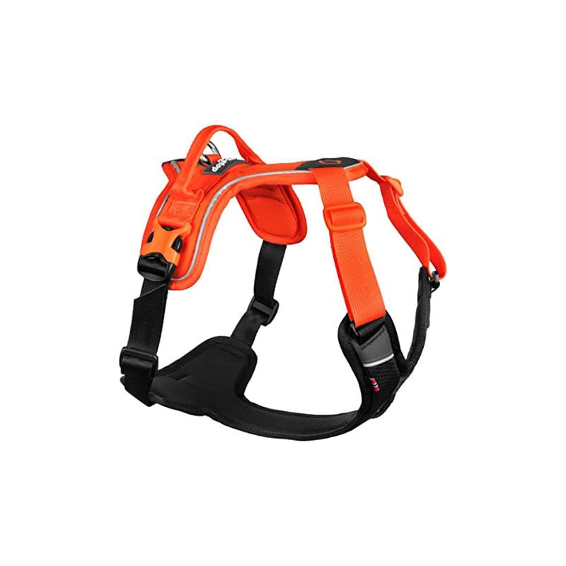 Arnes dogwear non stop ramble