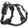 Arnes dogwear non stop ramble