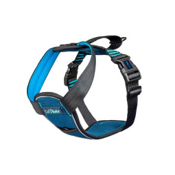 Clix Carsafe para coche