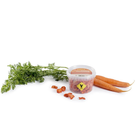 Snack Zanahoria