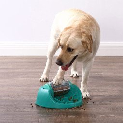 Dog spin n'eat Nina Ottosson