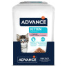 Advance comida húmeda de pavo para gatitos kitten
