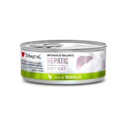 Disugual Hepatic Codorniz Gato