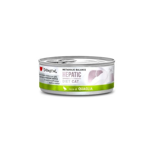 Disugual Hepatic Codorniz Gato