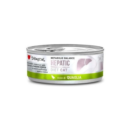 Disugual Hepatic Codorniz Gato