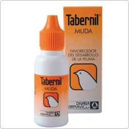 Tabernil Muda para aves de adorno