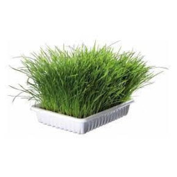 Kerbl hierba gatera 100gr