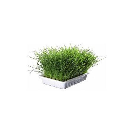 Kerbl hierba gatera 100gr
