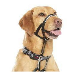 Halti Collar Para Perros , Superguau