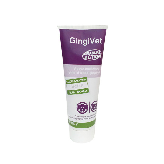 Stangest Gingivet Pasta 100gr