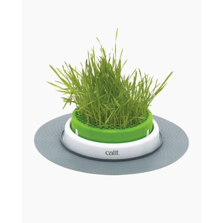 Catit Senses Germinador. Superguau