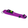 Kerbl Collar Ajustable Miami Violeta