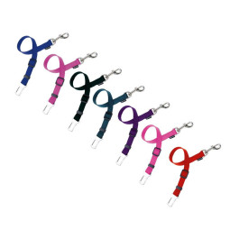 Gloria Pets Enganche Cinturón Seguridad para Coche