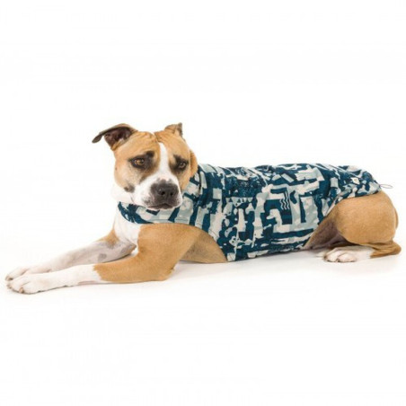 Gobak Chubasquero Amazonia Azul