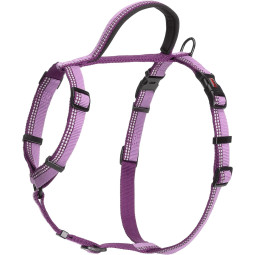 Halti Walking Harness Morado