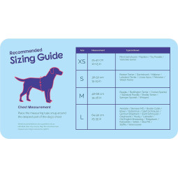 Halti Walking Harness Morado