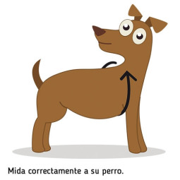 Ibañez Arnes Fantasy Plumas