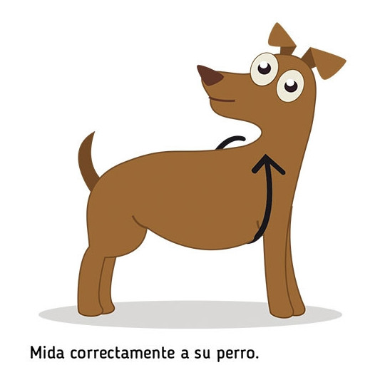 Ibañez Arnes Fantasy Plumas