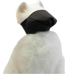 Ibañez Bozal para Gatos