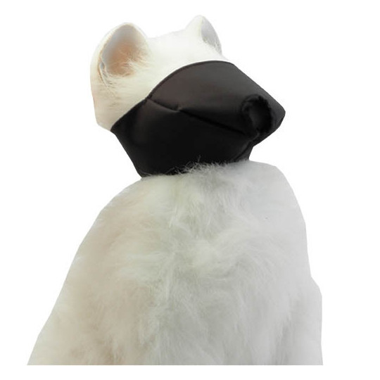 Ibañez Bozal para Gatos