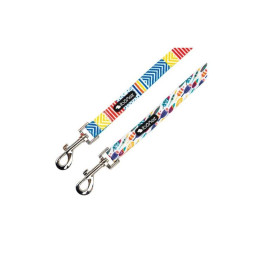 Ibañez Correa Fantasy Geo