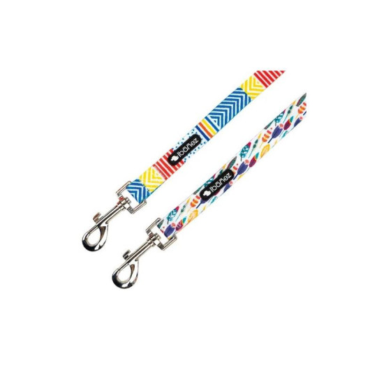 Ibañez Correa Fantasy Geo