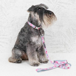 Ibañez Correa Floral Rosa