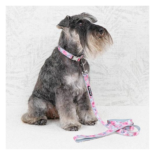 Ibañez Correa Floral Rosa