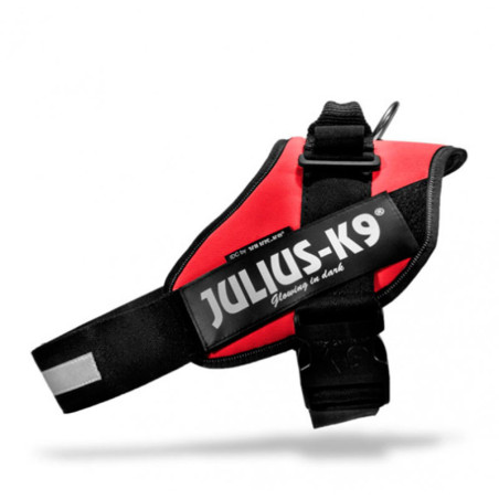 Julius K9 IDC Rojo