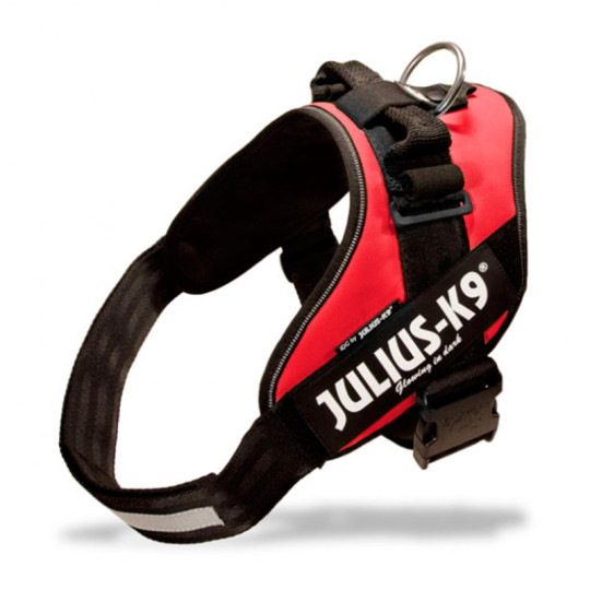Julius K9 IDC Rojo