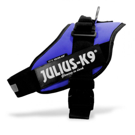 Julius K9 IDC Azul