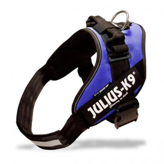 Julius K9 IDC Azul