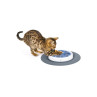 Catit Senses Juguete Alfombrilla Juego