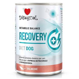 Disugual diet digestion para perros,comprar en Zaragoza,Superguau