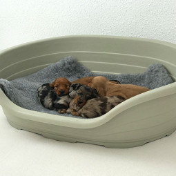 Ibañez Cuna Plástico Paridera