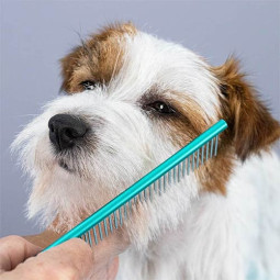 Peine metálico para perros o gatos Ibañez.Comprar en Zaragoza,Superguau