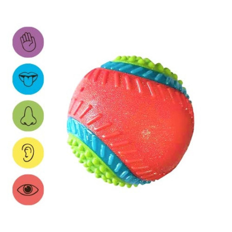 Ibañez Dog Juguete Pelota 5 Sentidos