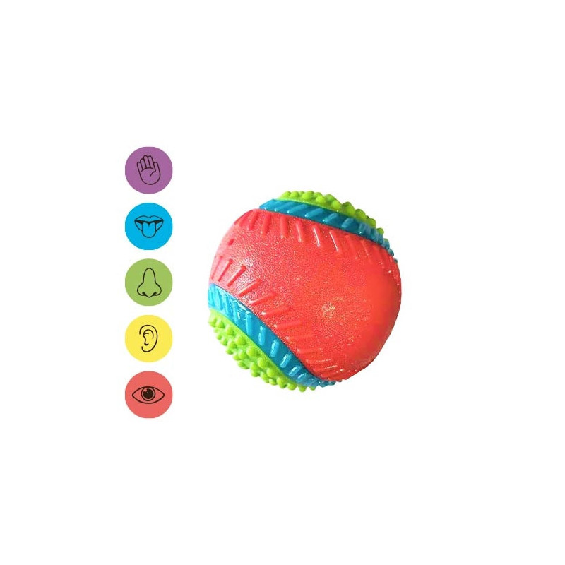 Ibañez Dog Juguete Pelota 5 Sentidos