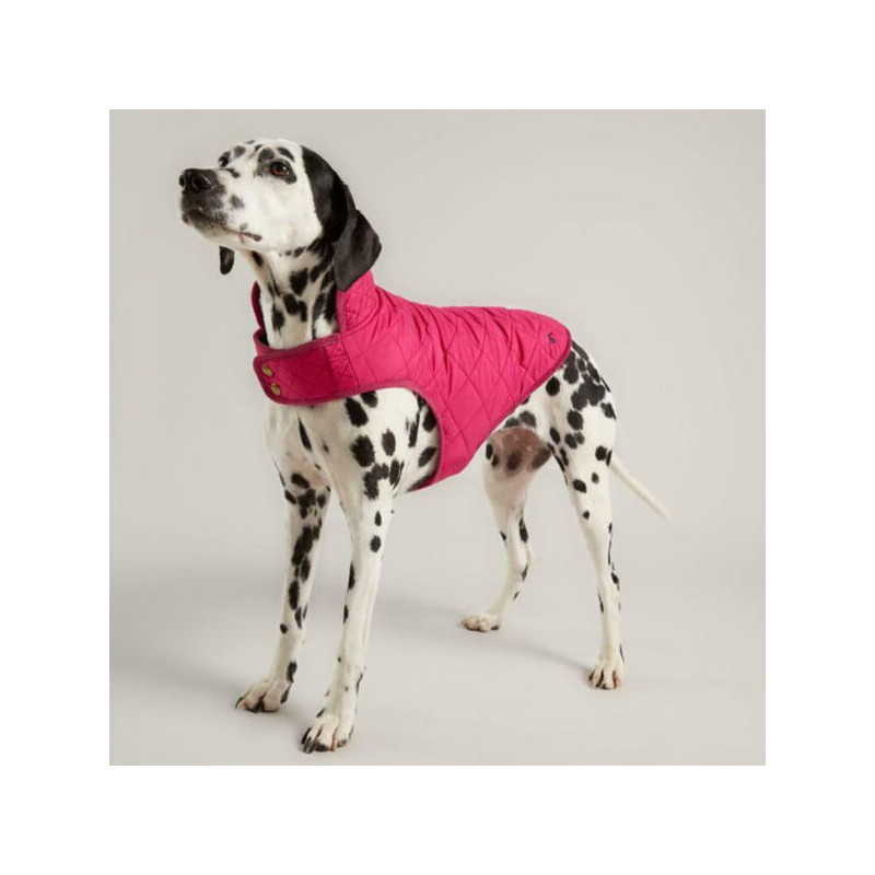 Jules abrigo Hules fucsia para perros 66