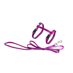 Karlie Arnés con Correa para Gato Art Sp