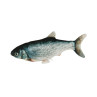 Kerbl Cat Juguete Pescado Saltarín 28x11cms