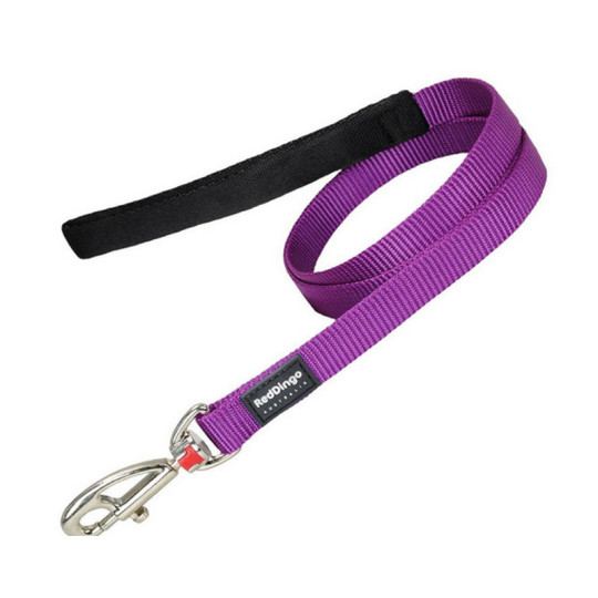 Red Dingo correa Vivid morado