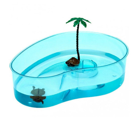 Tortuguera Isla con Palmera