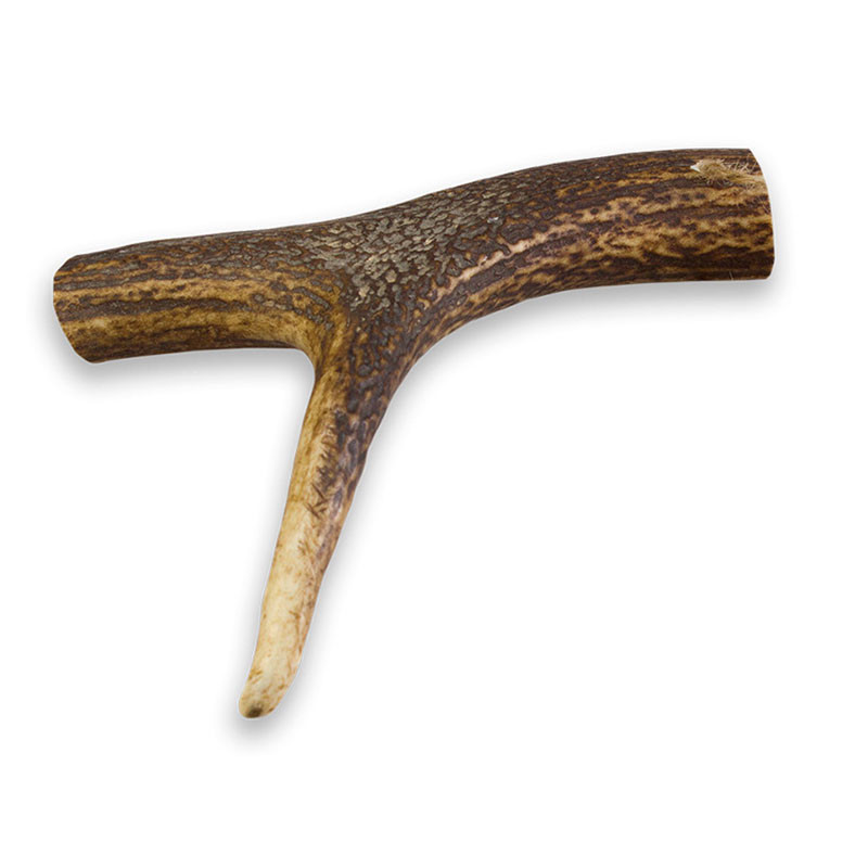 Woolf Asta de Ciervo