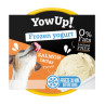 Yow Up! Helado Yogurt Tartar Salmón 110gr