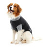 Buster Body Suit Classic para perro